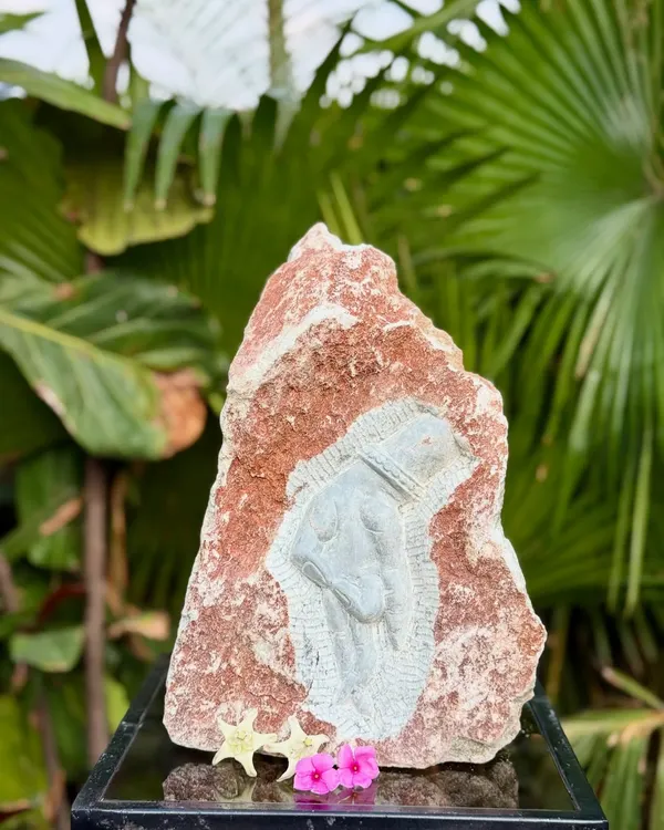 A natural rock carving of Naga Deva, inspired by the temples of South India. The artist carves the deity into the stone while leaving the surrounding rock raw, adding a touch of rustic spirituality to your garden.
