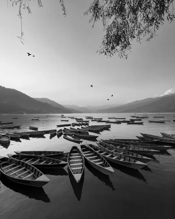 In this black and white version, the boats on Phewa Lake become a study of form and reflection. The absence of color emphasizes the quiet mood and the birds flying overhead.