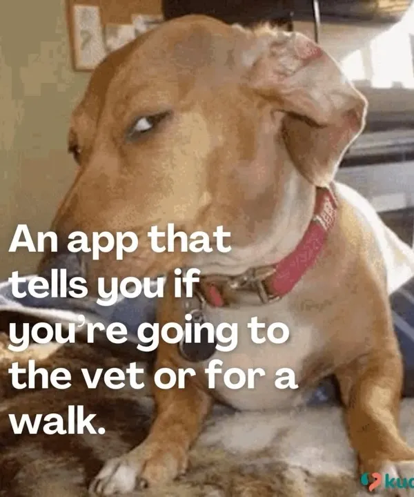 If dogs had startup ideas, this would be at the top of the list. An app to tell them if it's a vet trip or a walk in the park.