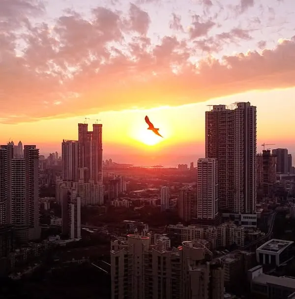 A bird flies directly into the setting sun, creating a powerful silhouette against the warm, hazy sky over Mumbai.