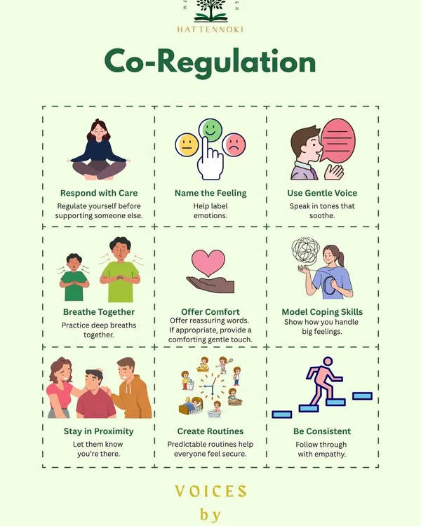 An infographic on Co-Regulation, a key concept in my V.O.I.C.E.S. framework. It provides actionable steps for adults to help children manage big emotions by first regulating their own nervous system.