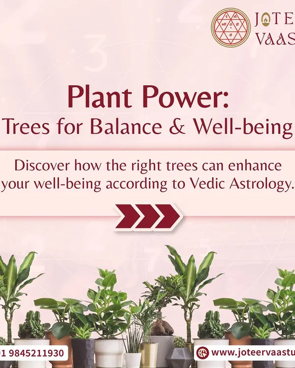This series explores Plant Power. Discover how planting the right trees according to Vedic Astrology can enhance your well being and bring balance to your life.
