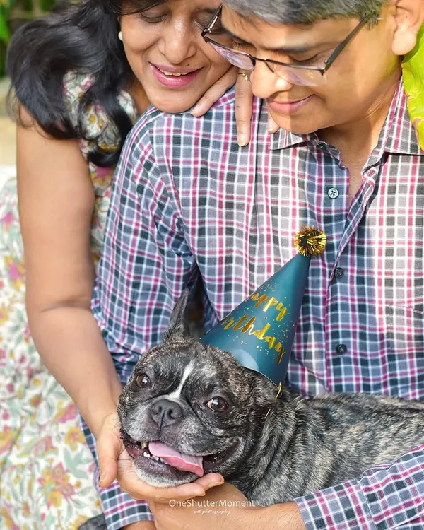 Happy Birthday to this handsome French Bulldog! Celebrating your pet's birthday with a special photoshoot is a wonderful way to mark the occasion and create fun, lasting memories.