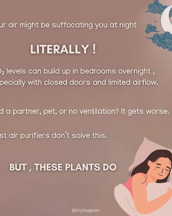Did you know the air in your bedroom might be suffocating you at night? High CO2 levels can build up, but certain plants can help solve this problem naturally.