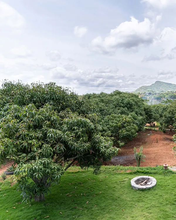 The "Aamra" farmhouse was designed to be nestled within a canopy of mango trees, overlooking the Banthamari state forest. The goal was a simple, maintenance-friendly house that reflects a life connected to the bucolic landscape.