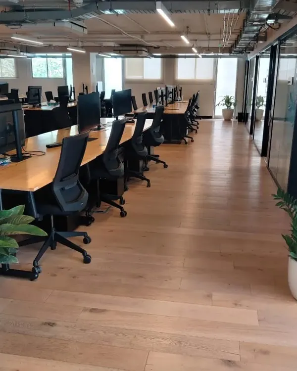A wide view of a plantscaping project we completed for an office on Church Street. We used a variety of large floor plants in white planters to define spaces and add natural elements to the work environment.