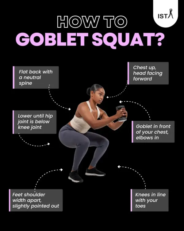 A detailed guide on how to perform a goblet squat correctly. Master the form to build lower body strength and protect your back.