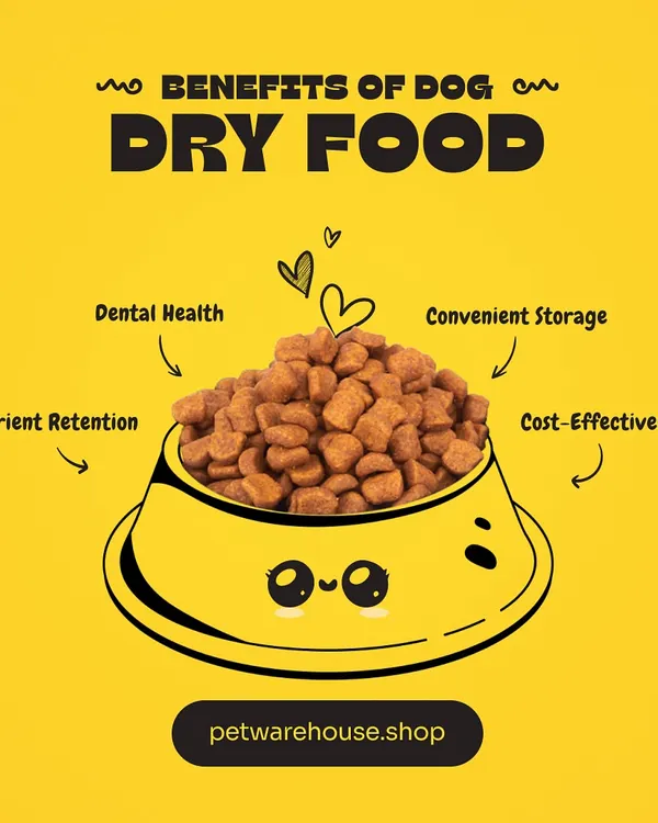 Dry food is a convenient and cost-effective choice for many pet parents. This graphic explains its benefits, including promoting dental health and excellent nutrient retention.