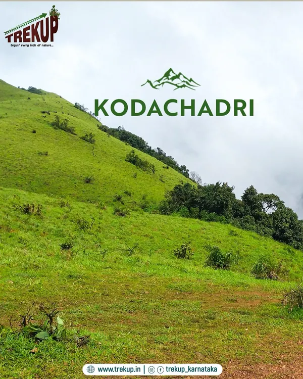 The rolling green hills of Kodachadri on a misty day. This trek offers a mix of dense forests, waterfalls, and panoramic summit views.