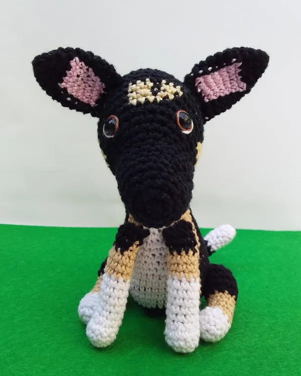 This was a custom order to create a replica of a client's dog. I used different colors of yarn to match the dog's distinct black, tan, and white coat.
