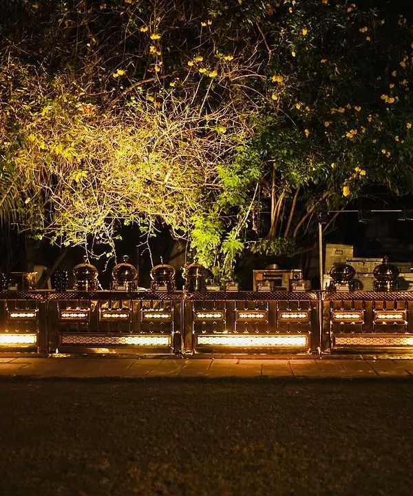 This is how I transform an outdoor space into an elegant dining experience. This beautifully lit buffet setup at a night event shows my commitment to creating an atmosphere that is as delightful as the food itself.