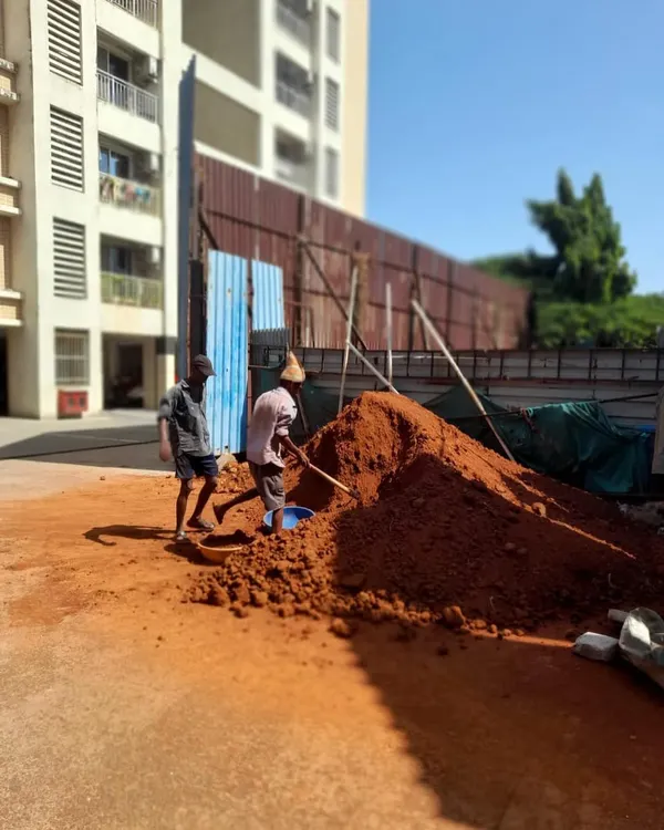 The first step in any lawn installation is preparing the soil. Here, my team works with a large pile of red soil for a carpet lawn project at a residential complex.