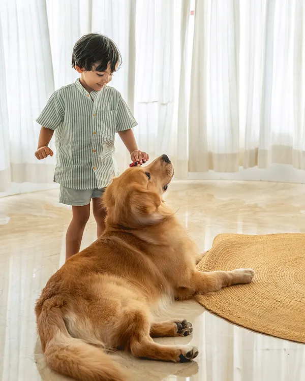 A quiet moment between Sumer and his best friend, Ziggy the Golden Retriever. The session was full of games to make Sumer comfortable, and this gentle interaction while brushing Ziggy shows the sweet, trusting bond they share.