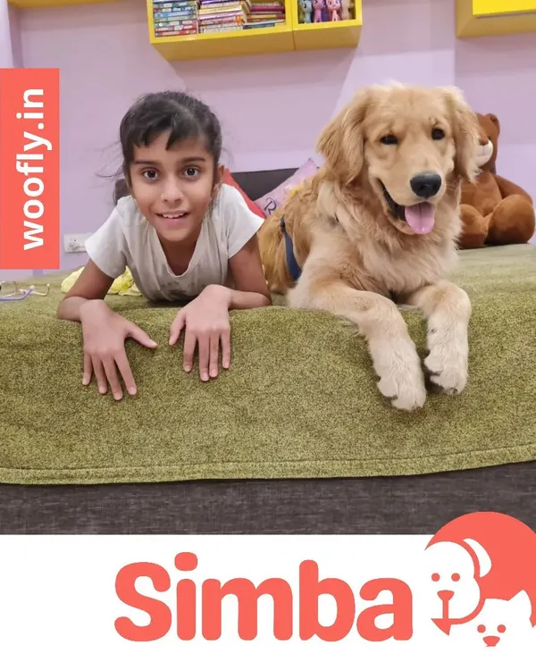 Meet Simba, a happy Golden Retriever, posing with his best friend after his grooming session. A clean pet makes for a happy family.