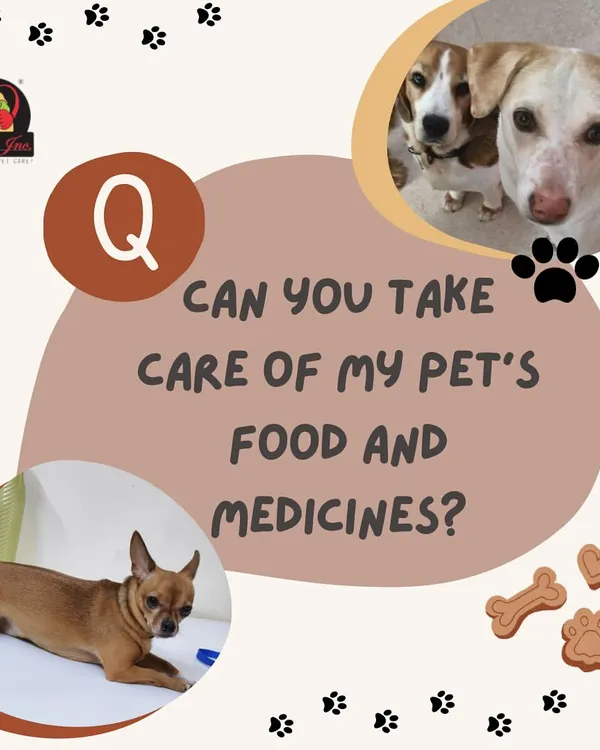 We get this question a lot. Pet parents are often worried about their dog's specific dietary needs or medication schedules while they are away.