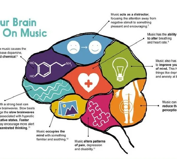 This diagram shows what happens to your brain on music. Proper, structured learning releases dopamine, improves your state of mind, and enhances cognitive abilities.