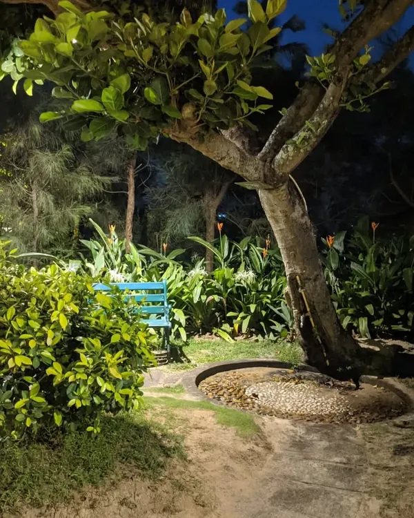 At night, subtle lighting illuminates a quiet seating nook with a blue bench, nestled under a tree. This creates a perfect spot for peaceful evening contemplation in the garden.