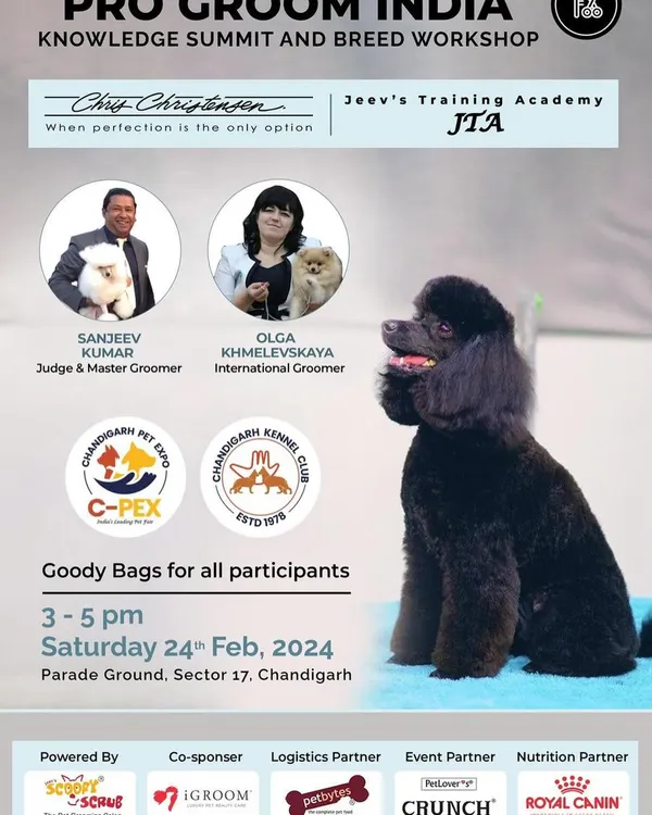 This poster for our 'Pro Groom India' workshop highlights our collaboration with international groomer Olga Khmelevskaya. Our seminars provide a unique opportunity to learn diverse techniques from global masters.