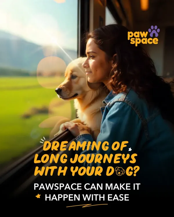 Dreaming of taking your dog on a long journey? Our pet relocation service makes it a reality, ensuring a safe and comfortable experience whether you're moving across the country or just exploring.