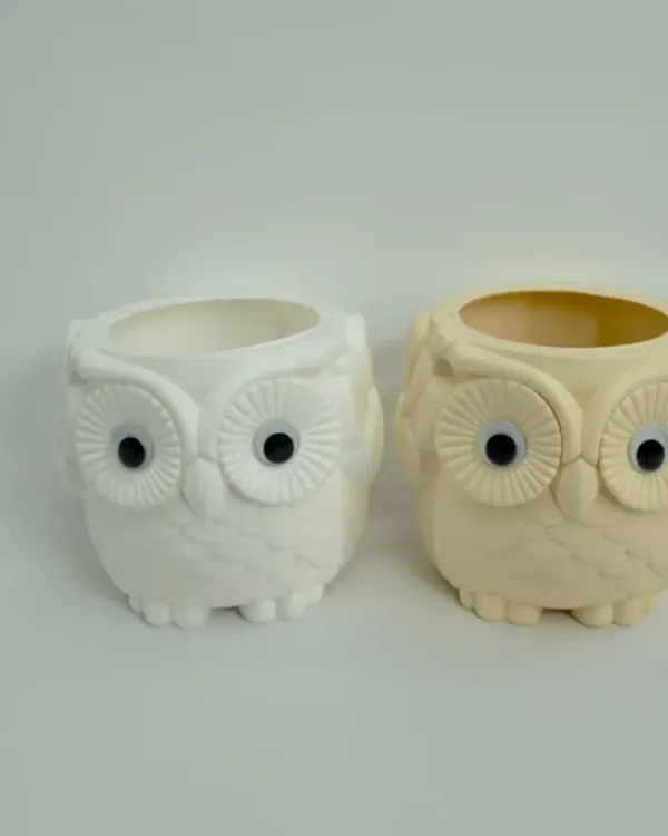 Add a touch of whimsy to your decor with our quirky planters. These adorable owl-shaped pots are perfect for small succulents or cacti and are sure to bring a smile to your face.