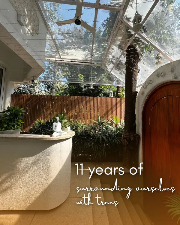 Our studio is a haven surrounded by trees. This is the view that greets you, a promise of the peace and connection with nature that we cultivate in our practice.
