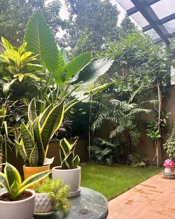 A look at this gorgeous garden from another angle. We helped set up a mix of plants, including snake plants in beautiful pots on the table, a tall bird of paradise, and various foliage plants that create a layered, tropical look.