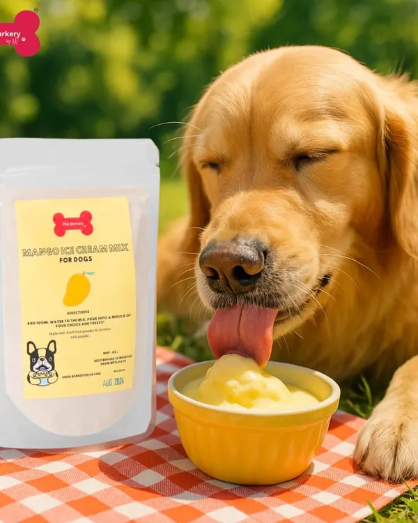 My Mango Ice Cream mix is a customer favorite. This happy Golden Retriever is proof of how much dogs love this cool, fruity treat. The mix is dairy-free and contains no sugar.