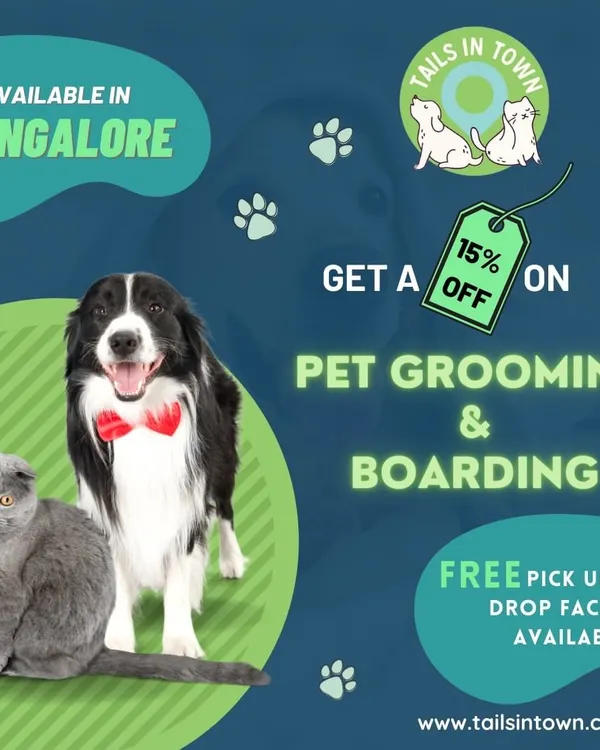 We offer more than just grooming. As this graphic shows, we also provide pet boarding services in Bangalore, making us a convenient choice for all your pet care needs.