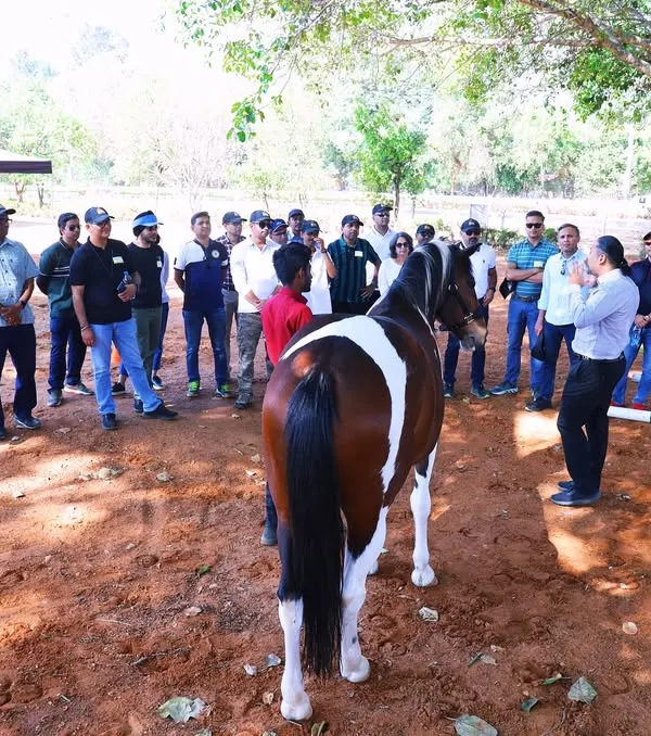 Senior partners from a top consulting firm participating in our transformative Horse Leadership Program. This unique experience uses equine wisdom to refine leadership, communication, and trust away from the boardroom.