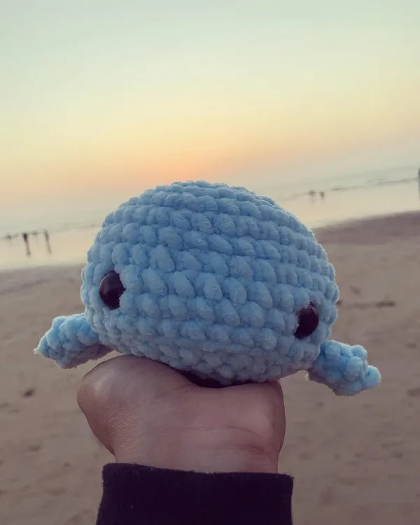 Here's another shot of my crochet whale plushie against the sunset. The simple, round design and soft blue yarn make it a really calming and cute companion.