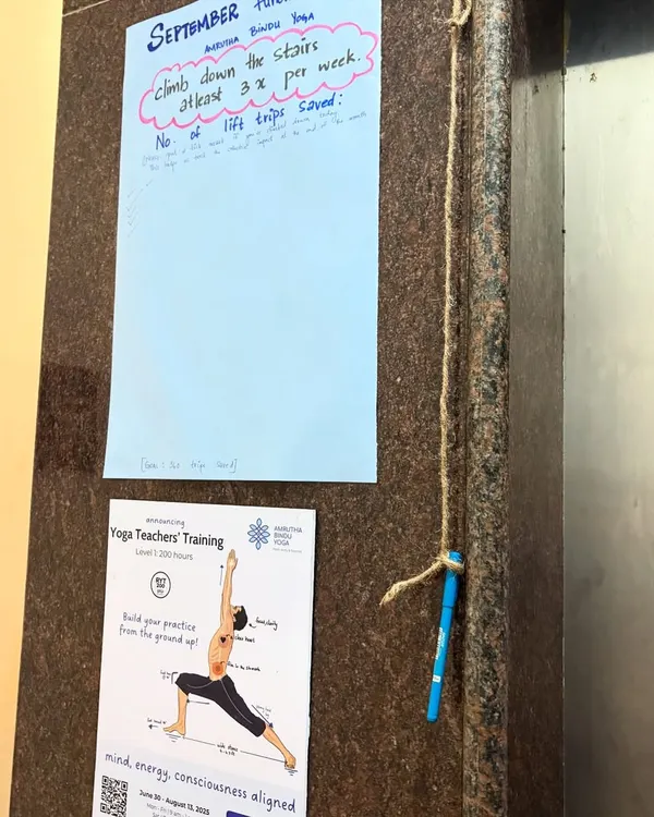 Our September challenge to take the stairs instead of the lift. Small, daily actions can create a big collective impact on our health and the planet.