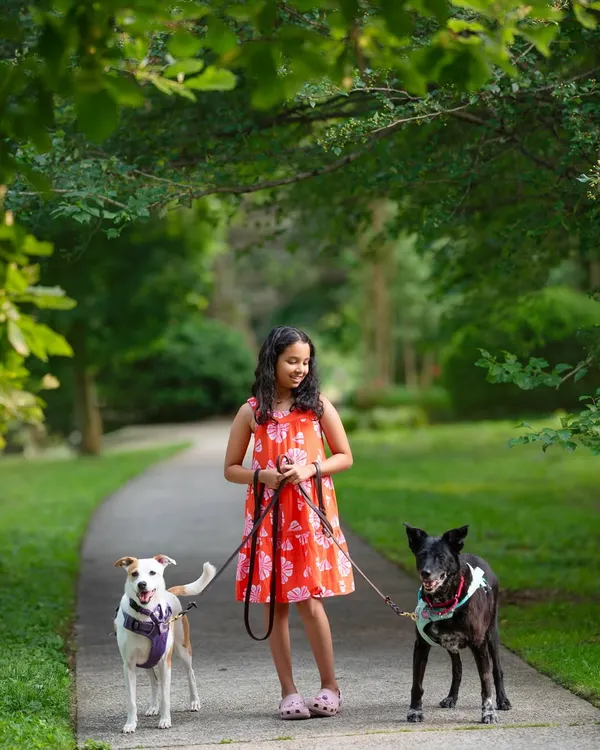 A girl and her best friends. It was so special to capture my own preteen daughter with her two favorite dogs during this outdoor walk.