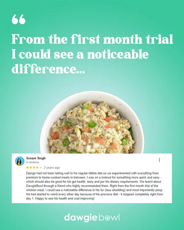 It’s amazing to see the transformation that real food can make in just one month. This review highlights some of the most common benefits our customers report: a noticeable improvement in fur, reduced shedding, and healthier digestion from day one.
