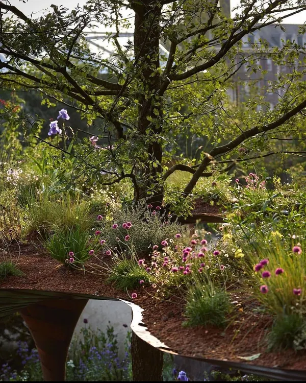 A close-up of a naturalistic planting scheme. We use a mix of grasses and flowering perennials to create a soft, meadow-like feel that supports local pollinators.