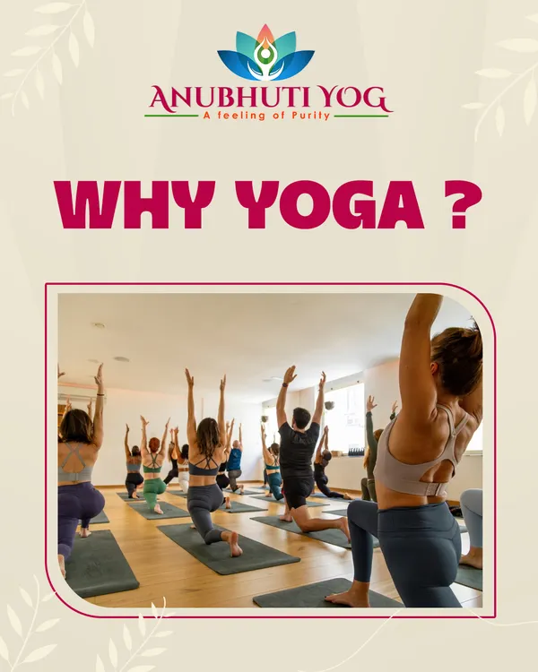 Why yoga? Because it’s a path to a more flexible body, a focused mind, and a stronger immune system. It’s a journey to mindful living, and we are here to guide you.