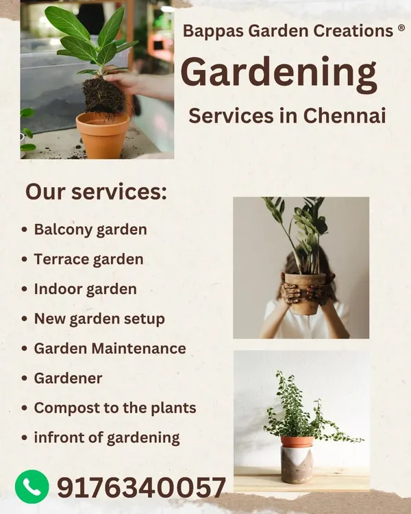 An overview of the main services we offer, including balcony, terrace, and indoor garden setup and maintenance. If you need a gardener in Chennai, we are here to help.