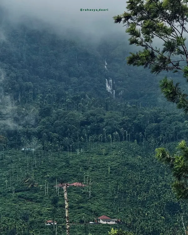"Breathe in. You’re in Malenadu!" A classic view of the Western Ghats, with misty valleys and dense forests stretching as far as the eye can see.
