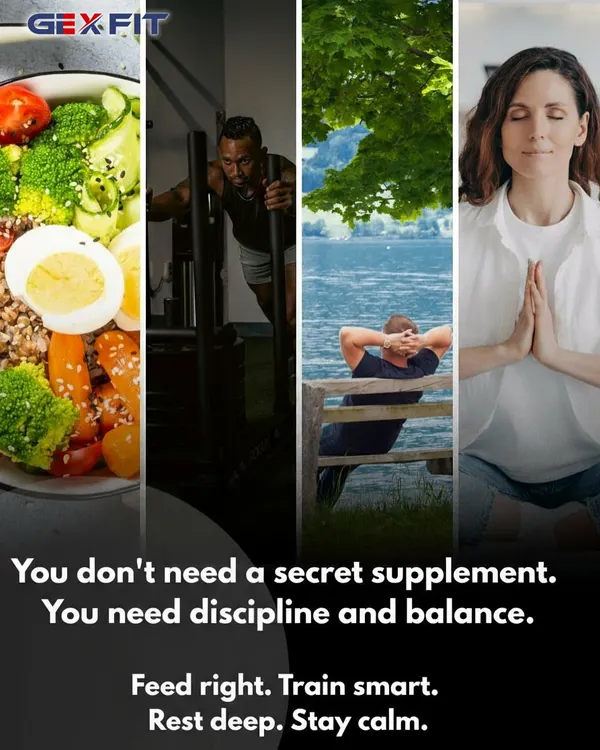 Lasting results are not built on secret supplements, but on discipline and balance. Our philosophy is built on four pillars: smart training, real food nutrition, deep rest, and managed stress. We guide you in mastering these fundamentals for sustainable strength and health.