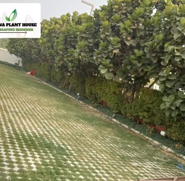 This image shows permeable grass pavers, an eco-friendly solution for driveways and paths. The grid allows grass to grow through, which helps with rainwater drainage while providing a durable, green surface.