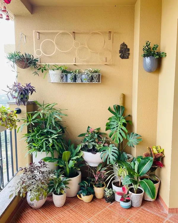This is the beautiful 'after' of a balcony that was once crowded with over 100 planters. By carefully sorting, grouping, and using vertical space, we created a clean, organized, and lush green corner.