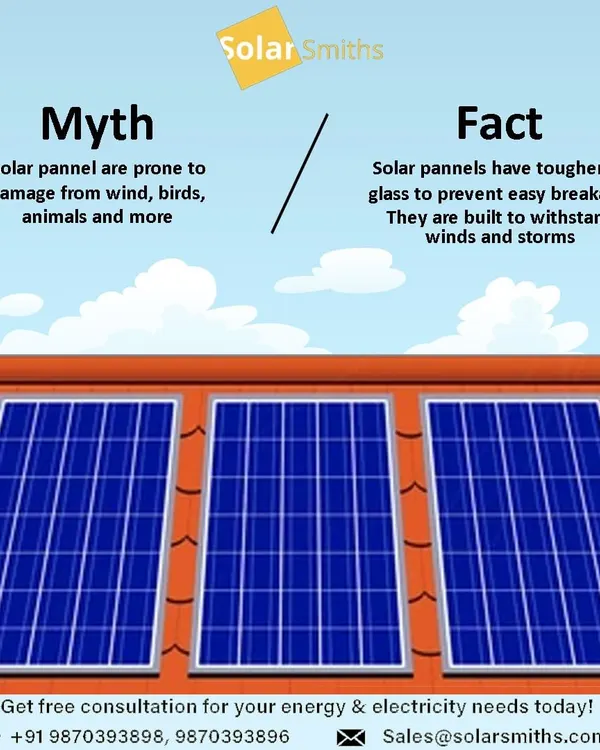 A common myth is that panels are prone to damage from birds or weather. The fact is, my panels have toughened glass and are built to withstand high winds and storms, preventing easy breakage.