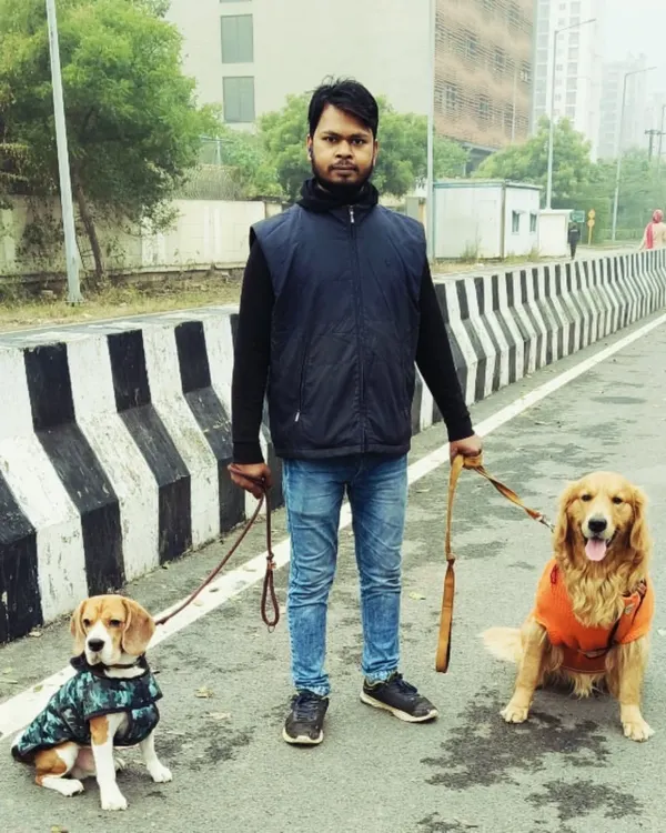 I have extensive experience handling multiple dogs at once, ensuring they remain calm and obedient. Here I am with a Beagle and a Golden Retriever during an outdoor training session in Noida, focusing on pack leadership and socialization skills.