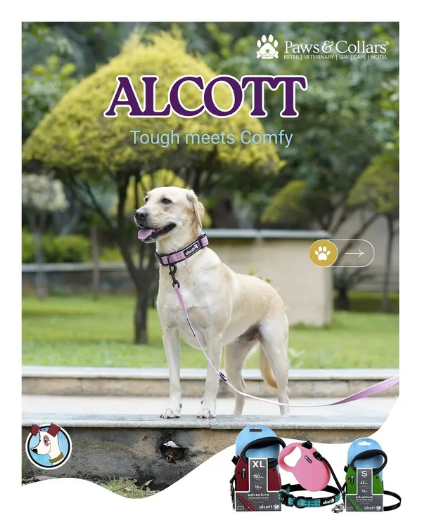The Alcott adventure collection is where tough meets comfy. This poster showcases the stylish look of the gear on a happy Labrador, along with a peek at the retractable leash options available for different needs.