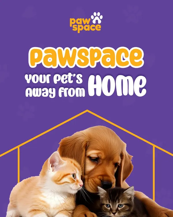 We created PawSpace to be your pet's home away from home. Whether you have a dog, cat, or bird, we provide a loving, cage-free environment where they are treated like family.