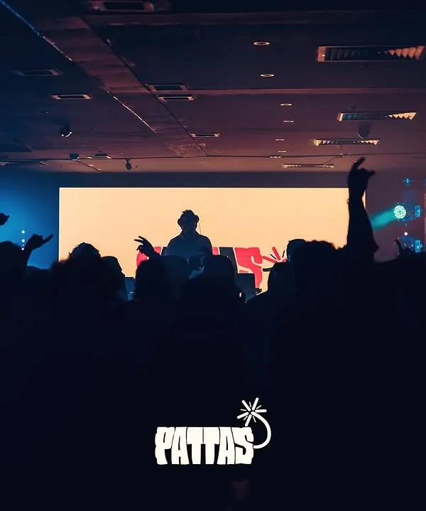 A silhouette shot from my 'Pattas' South Indian night, capturing the moment the beat drops. There's nothing like looking out and seeing a sea of hands in the air, completely lost in the music.