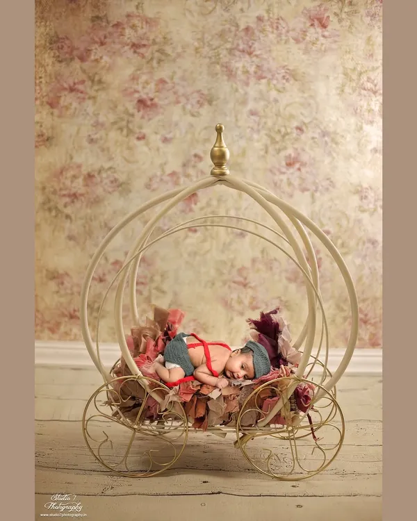 This is the kind of fairytale moment I love to create. Here, a precious newborn sleeps peacefully in a whimsical carriage, surrounded by soft petals. This posed newborn photography is best done within the first 15 days to capture their sleepy, curled up nature.