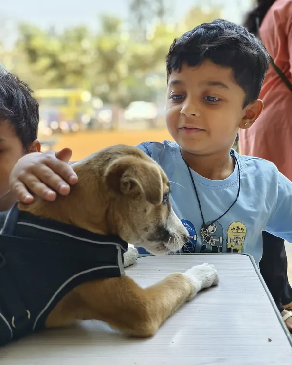 This is what it's all about. A moment of pure, gentle connection between a child and a rescue dog at one of our adoption drives. Teaching compassion from a young age is the foundation of my work, and moments like this give me hope for a kinder future for our animals.