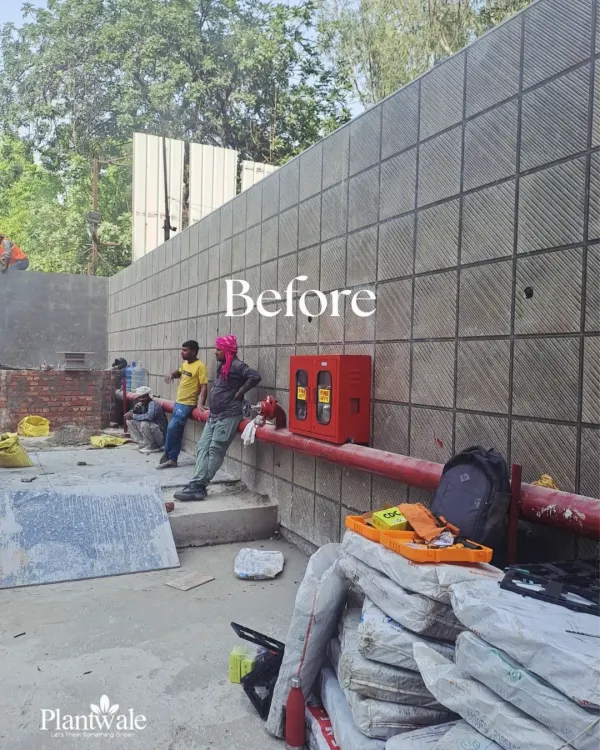 Before: A large, plain stone-tiled wall at a construction site, presenting a blank canvas for a major green transformation.