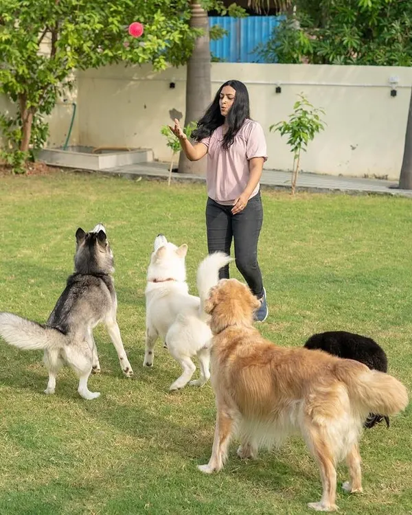 A game of fetch with the whole gang! Our spacious lawn gives everyone enough room to run and jump for the ball. It's the best way for them to burn off energy and have fun together.