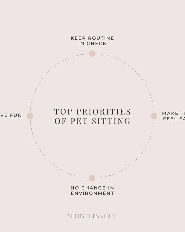 These are the four pillars of my pet sitting service. My focus is always on maintaining your dog's routine and environment to ensure they feel safe, secure, and have fun.